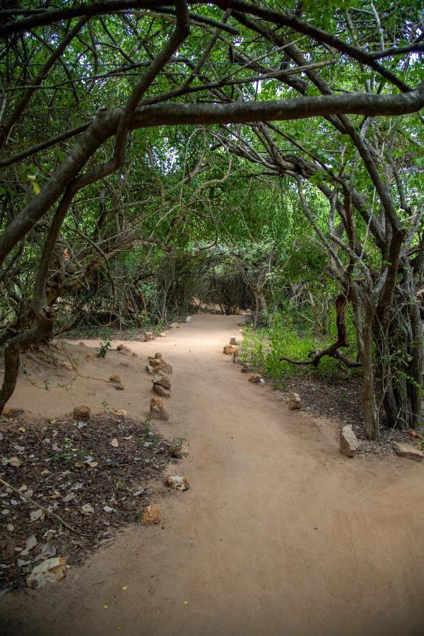 Yala Eco Bush Camp Hotel Exterior photo