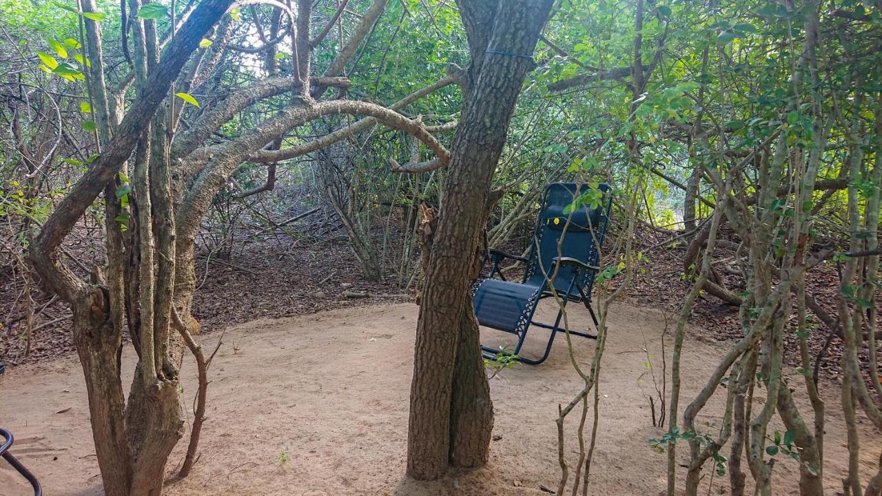 Yala Eco Bush Camp Hotel Exterior photo