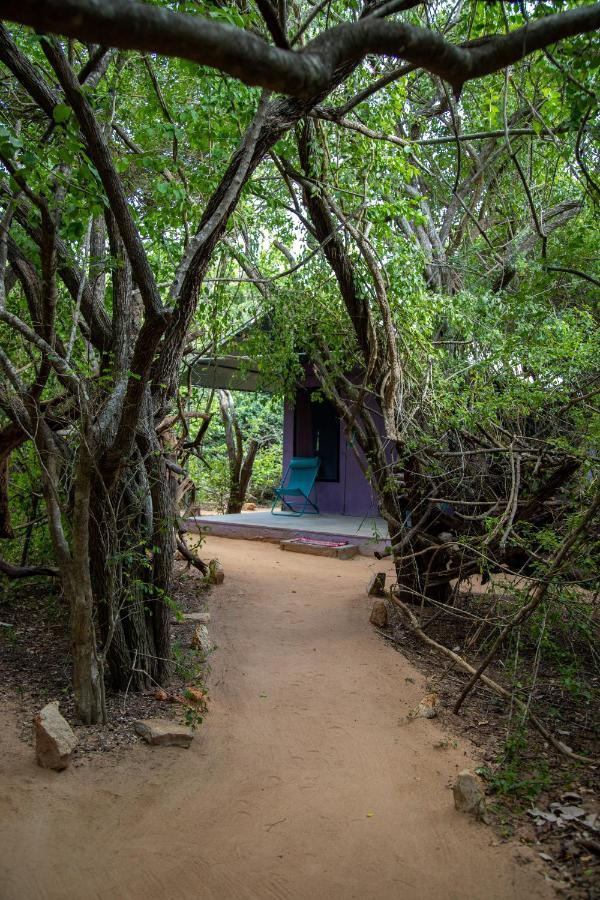 Yala Eco Bush Camp Hotel Exterior photo